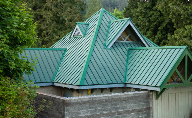 Best Solar Panel Roofing Installation  in Flomaton, AL