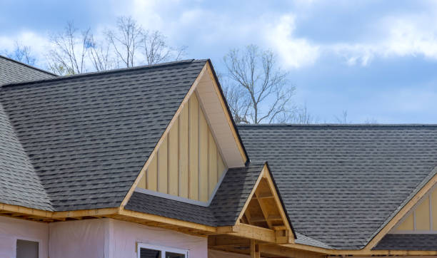 Best Roof Ventilation Installation  in Flomaton, AL