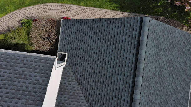 Best Roof Moss and Algae Removal  in Flomaton, AL