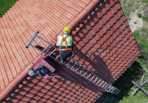 Best Gutter Replacement  in Flomaton, AL