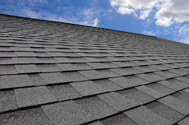 Best Roof Moss and Algae Removal  in Flomaton, AL