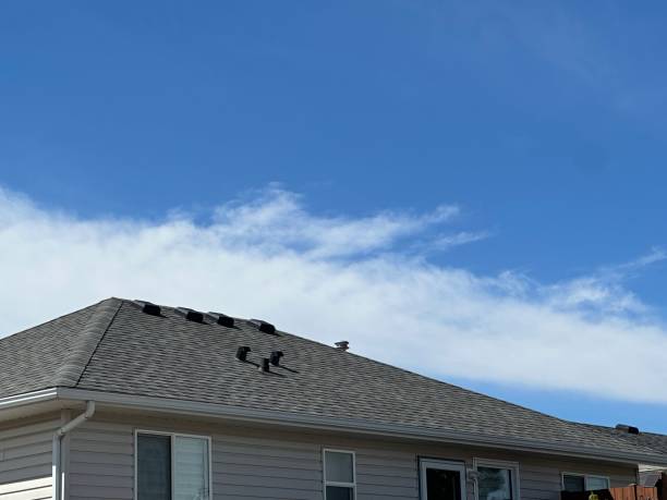Best Rubber Roofing (EPDM, TPO)  in Flomaton, AL